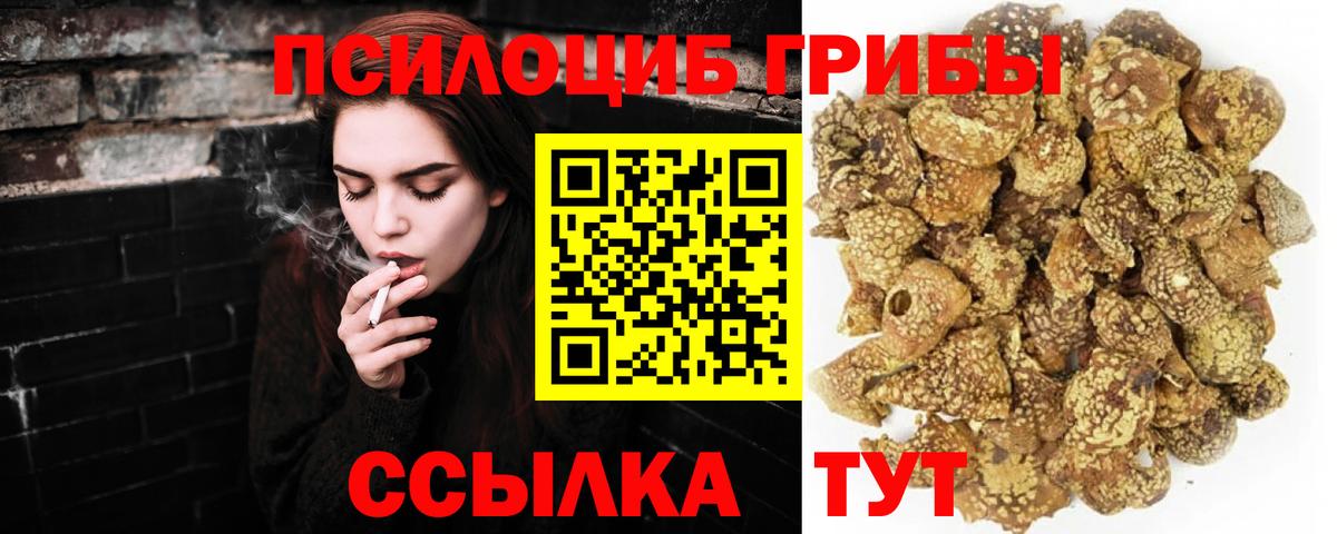 Галлюциногенные грибы мицелий Лениногорск